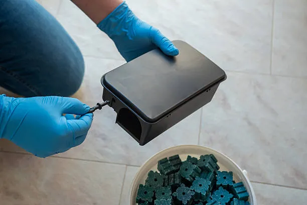 Derattizzazione a Napoli - Genius Clean