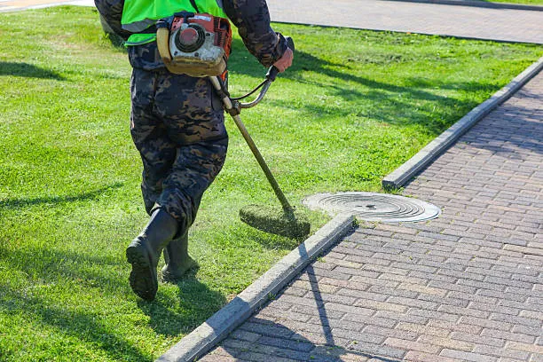 Giardinaggio a Napoli - Genius Clean